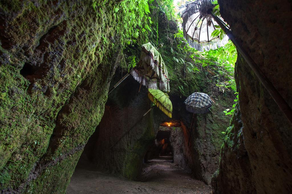 Bali Eco Adventure & Retreat Center Tegallalang (Bali) Exterior foto